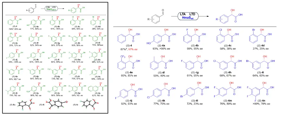 Mandelic Acid Factory.jpg